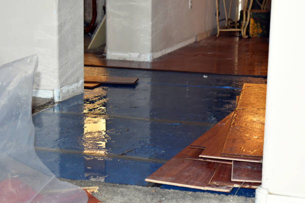 Professional Basement Flooding technician working in Burlington, NJ
